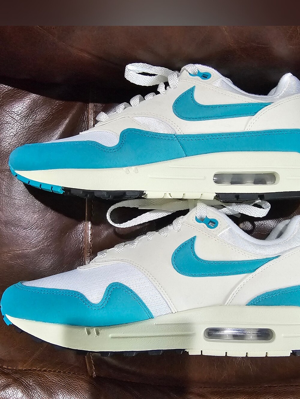 Nike Air Max 1 Dusty Cactus & White Sneakers New